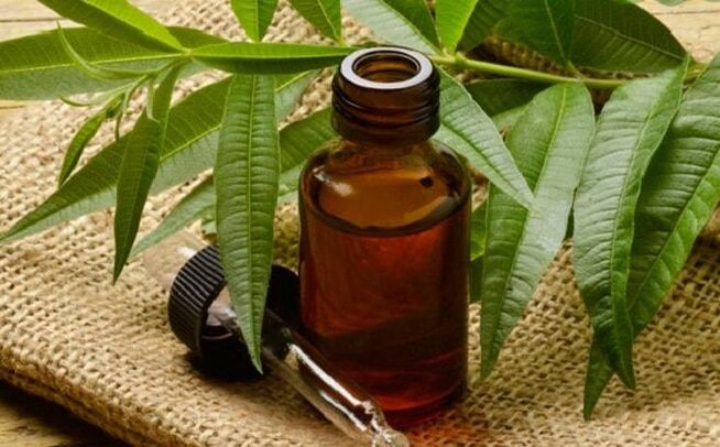 Tea tree oil a popular remedy to get rid of penile warts