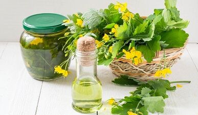 Popular remedies for papillomas