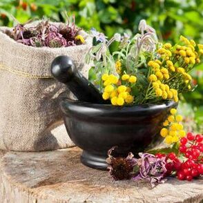 Herbs to treat papillomas.